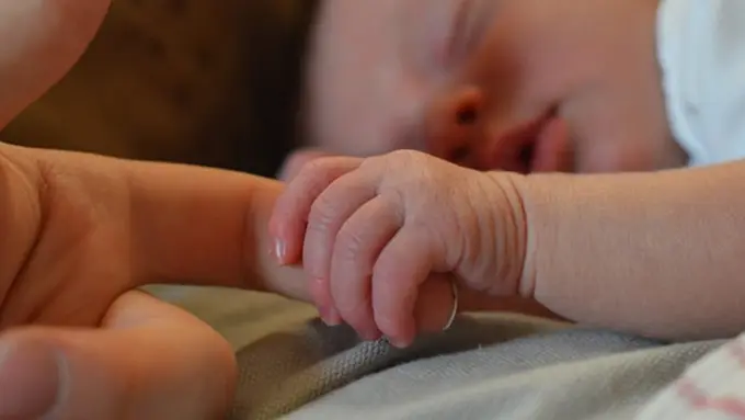 Ilustrasi. | Foto: copyright pexels.com