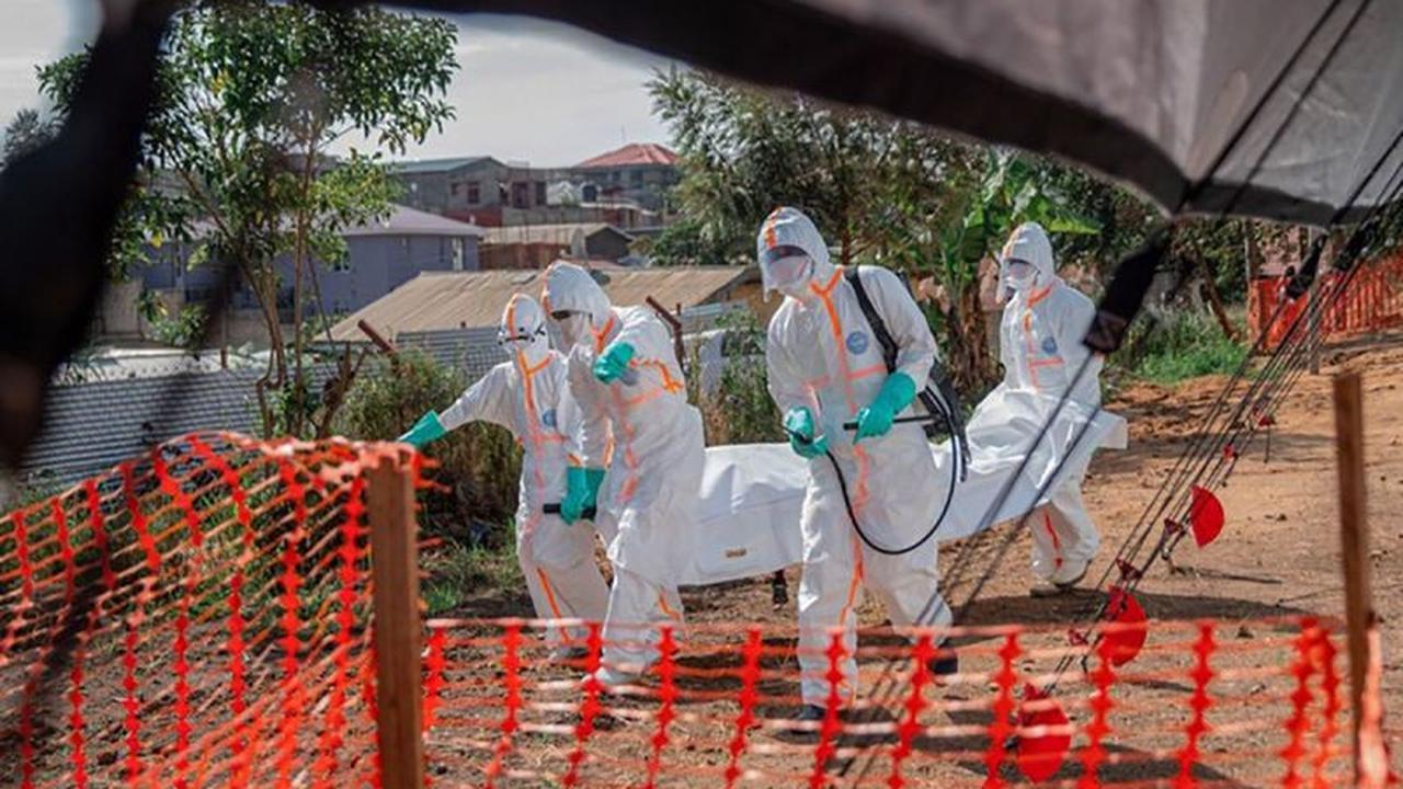 Israel Laporkan Dugaan Kasus Ebola Pertama, Kewaspadaan Global Meningkat