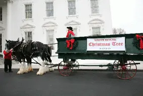 obama christmas tree3