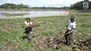 Personel TNI AL mengumpulkan kayu di sungai Citarum di Desa Warung Pulus, Bandung Barat, Jawa Barat, Minggu (17/12). Memperingati HUT TNI AL ke 72, melaksanakan operasi bakti TNI AL dengan menggelar acara "Bebersih Citarum". (Liputan6.com/Herman Zakharia)