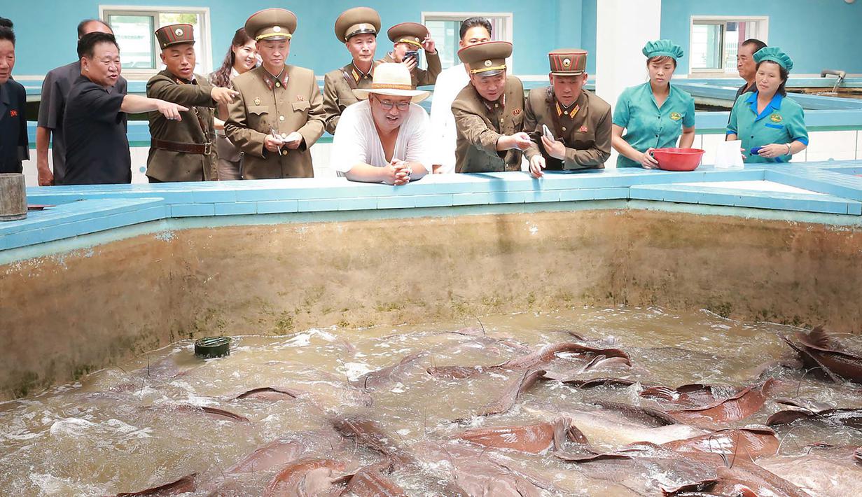 Senyum Pemimpin Korea Utara Kim Jong-un (tengah) saat meninjau peternakan lele samchon di Provinsi Hwanghae Selatan, Korea Utara, Senin (6/8). Kim tampak santai dengan kaus putih tipis dan topi bundar. (KCNA VIA KNS/AFP)