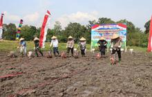 Polda NTB Dukung Ketahanan Pangan Nasional Melalui Gerakan Penanaman Jagung Serentak