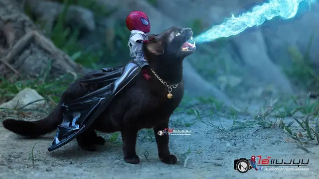 Seniman Ini Potret Boneka Spiderman dengan Kucing, 7 Hasilnya Kocak