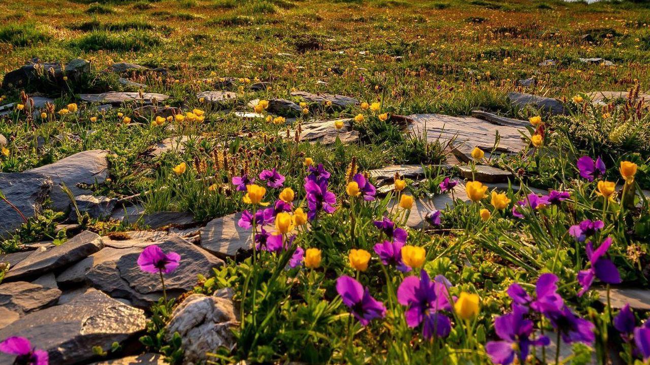 69 Morning Motivational Quotes for Success: Kick Off Your Start Day