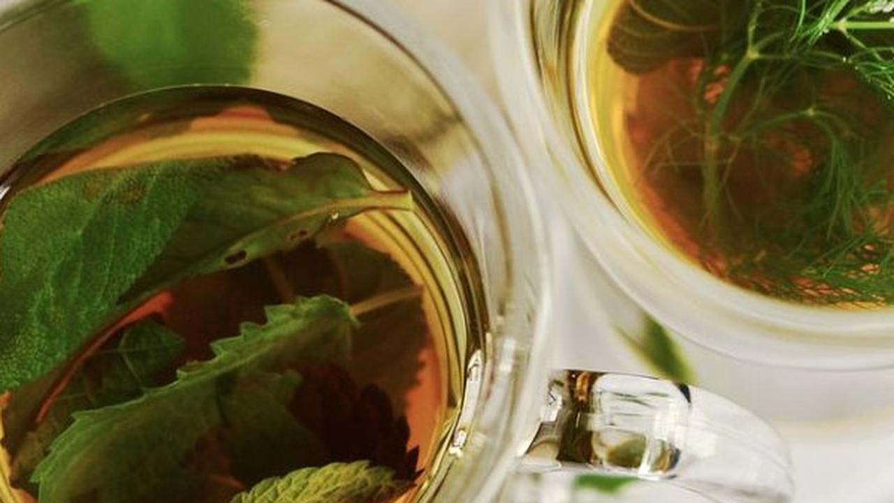 Rahasia Sehat, Merebus Daun Salam dan Jahe untuk Menangkal Kolesterol, Bumbu Dapur Penuh Manfaat!