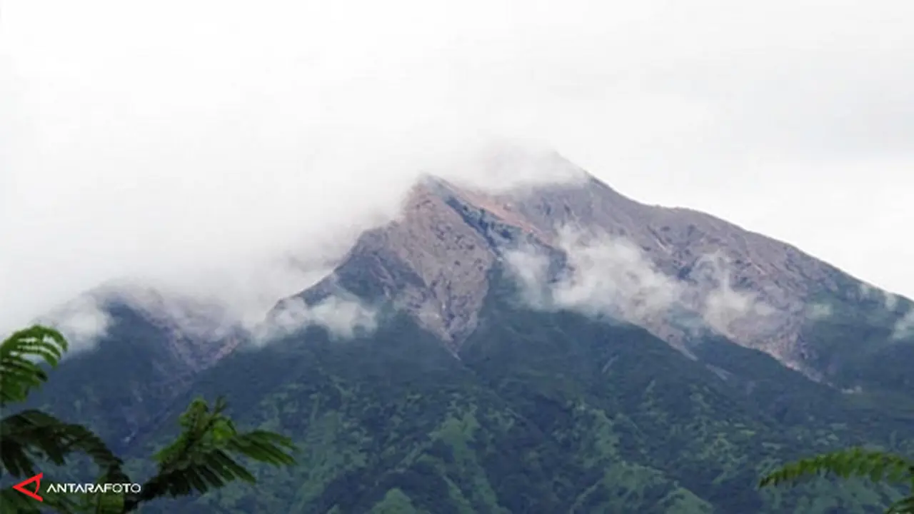 gunung-merbabu-1-140219b.jpg