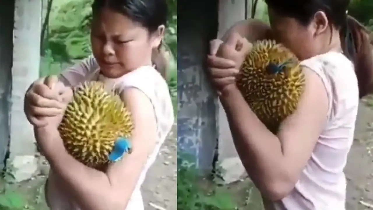 belah duren dengan tangan kosong