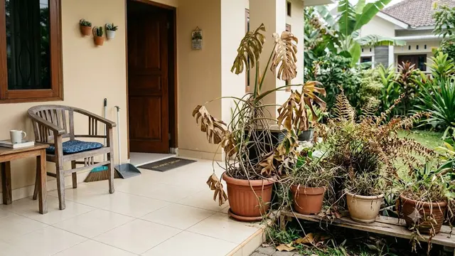 Pot Lumutan dan Tanaman Kering di teras