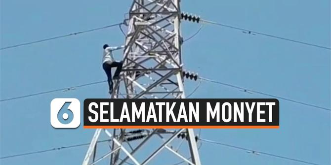 VIDEO: Bertaruh Nyawa, Pria Panjat Menara Sutet Untuk Selamatkan Monyet