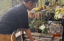 Momen Soimah Ngomel ke Kura-kura Sampai Hewan Peliharaannya Diminta Ngekost Bikin Ngakak