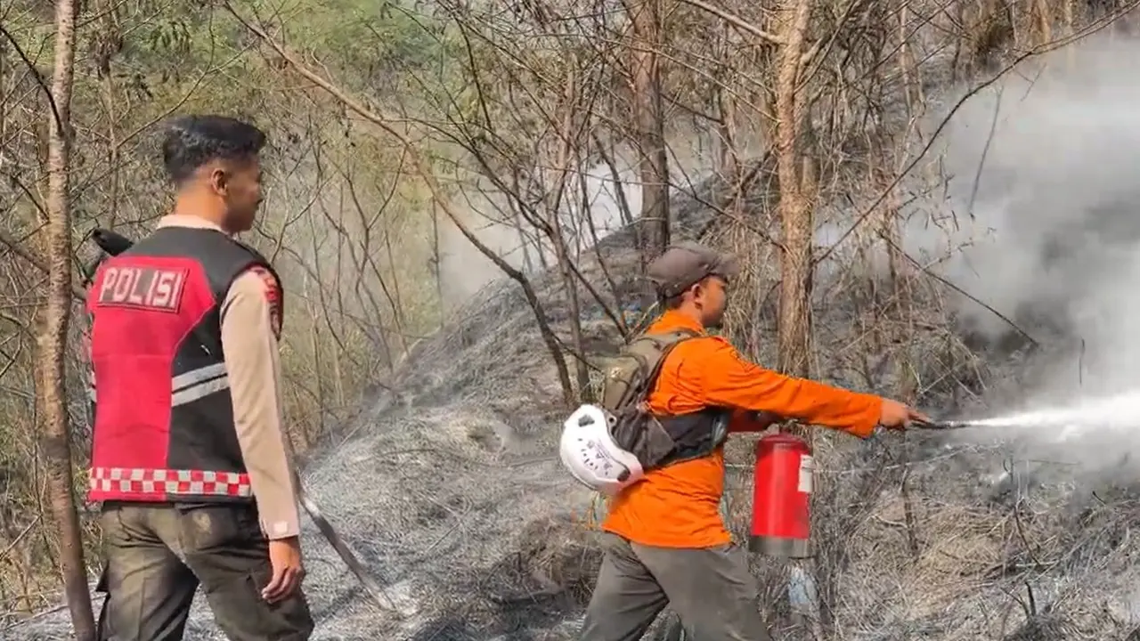 Petugas berjibaku memadamkan kebakaran di Gunung Sumbing