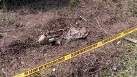 Misteri Temuan Kerangka Manusia di Hutan Rembang