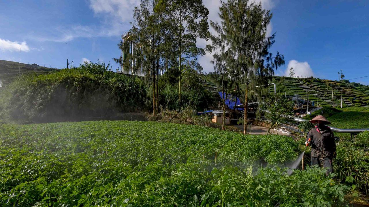 FOTO: Petani Kentang Dieng Terpinggirkan di Tengah Turunnya Harga Pupuk Subsidi
