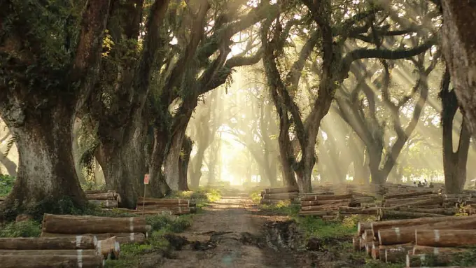 [Bintang] Jawa Timur