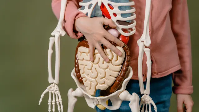 Pentingnya Mengajarkan Konsep Body Autonomy pada Anak Demi Jaga Batas Aman Tubuhnya