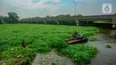 Penampakan hamparan eceng gondok yang menutupi Situ Pengarengan Depok. (merdeka.com/Arie Basuki)