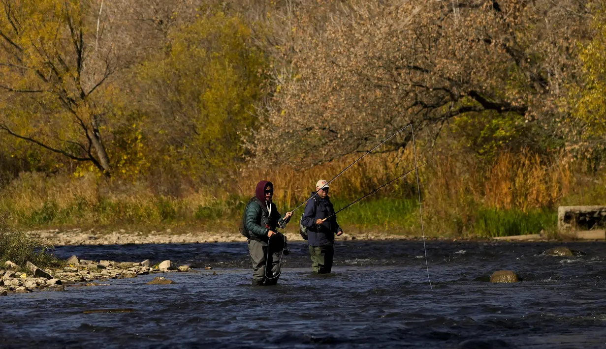 Seorang nelayan melemparkan pancingnya saat dia memancing ikan trout di Credit River di antara warna-warni musim gugur di Mississauga, Ontario, pada Kamis, 27 Oktober 2022. (Nathan Denette/The Canadian Press via AP)