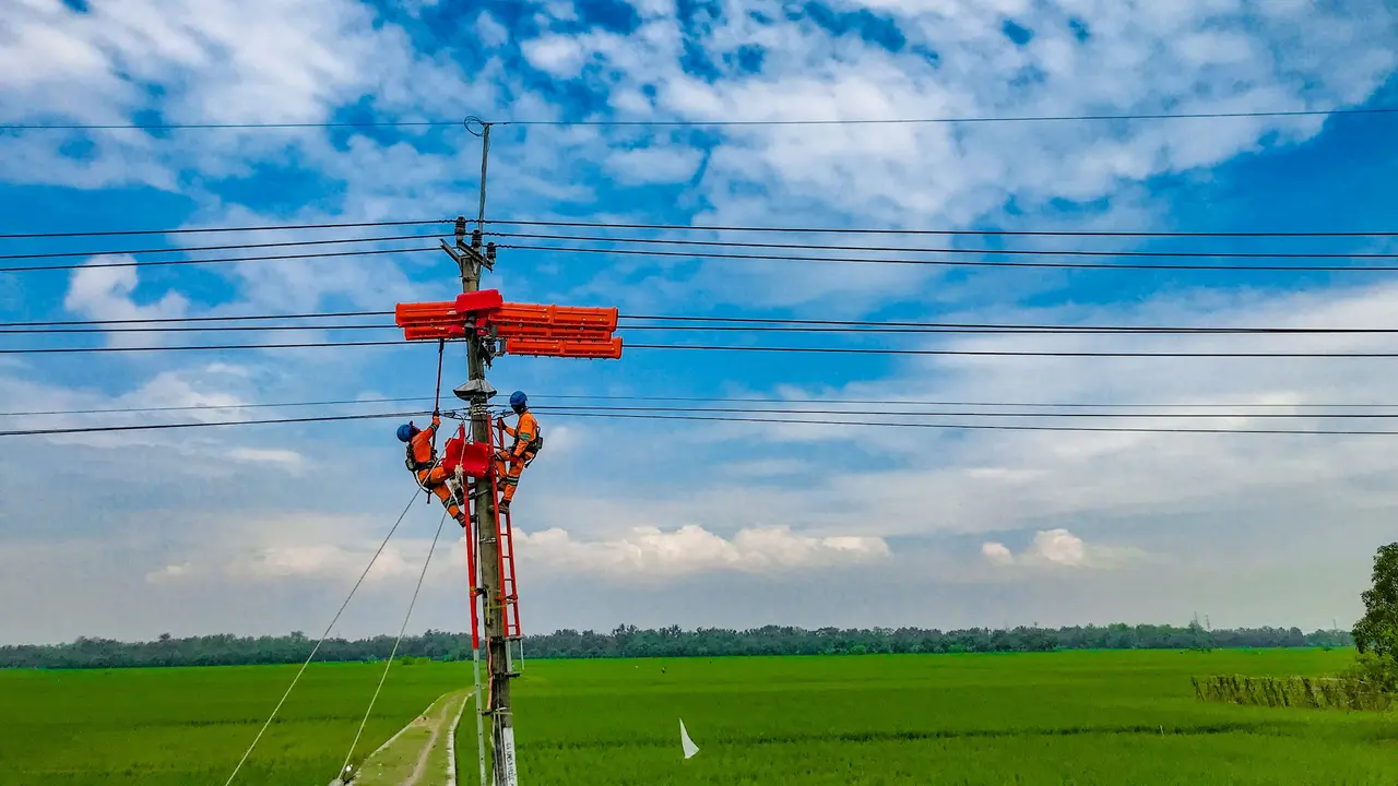 Petugas PLN dalam keadaan bertegangan melakukan pemeliharaan tenaga listrik jaringan 20 kiloVolt tanpa padam di Indramayu, Jawa Barat. (Dok PLN)