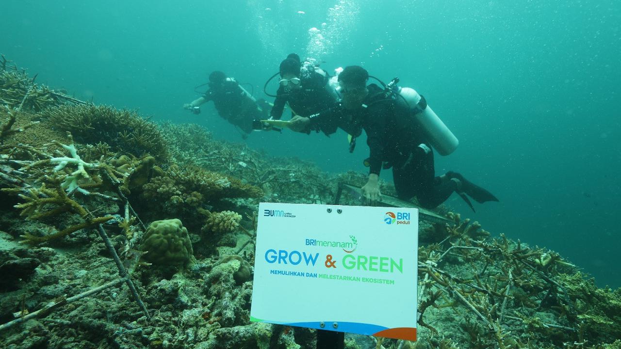 BRI Menanam Grow & Green, Bangun Kesadaran Kelestarian Laut & Tingkatkan Pendapatan Nelayan