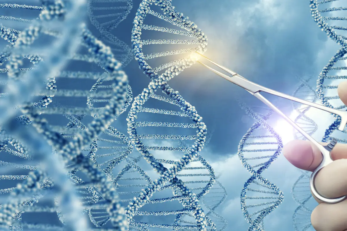 DNA dan Genetik (iStockphoto)