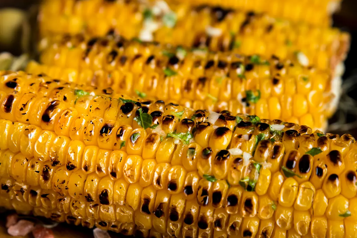 Jagung bakar