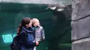 Seorang ibu dan anaknya melihat penguin di Taman Zoologi Paris Bois de Vincennes, Paris, Prancis, Selasa (9/6/2020). Taman Zoologi Paris kembali dibuka setelah hampir tiga bulan tutup saat Prancis melonggarkan lockdown untuk mencegah penyebaran COVID-19. (Xinhua/Gao Jing)