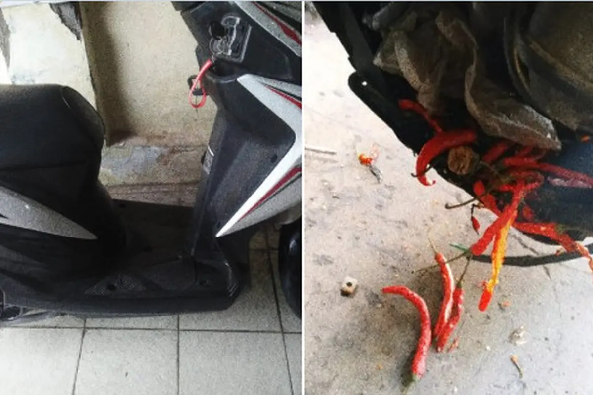 Setelah dibongkar, baru diketahui mesin kendaraan roda dua tersebut ternyata terdapat banyak cabai.