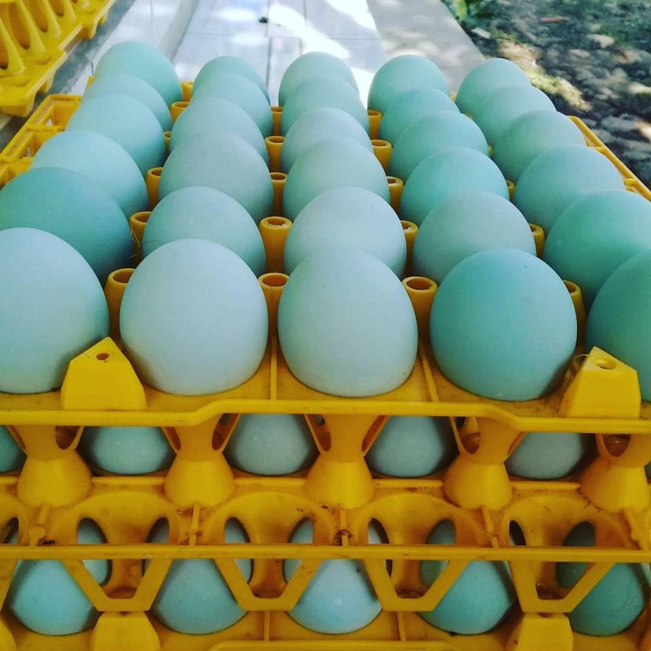 8 Cara Membuat Telur Asin yang Mudah dan Enak, Banyak Rasa