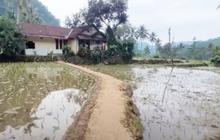 Pria Lanjut Usia Hidup Damai di Tengah Sawah Bareng Istri Muda, Rumahnya Luas dan Bersih