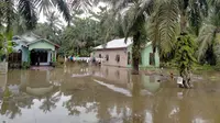 Banjir merendam ribuan rumah di Kabupaten Batubara, Sumatera Utara akibat hujan ekstrem. (Foto: BNPB)