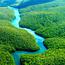 Amazon adalah hutan hujan yang termasuk tujuh keajaiban alam versi New7Wonders
