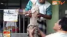 liputan6