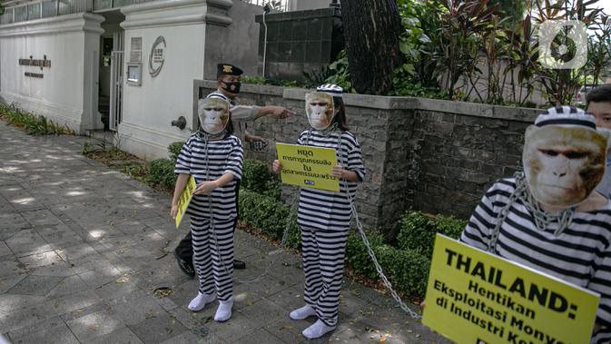 Aksi sejumlah orang yang tergabung dalam PETA di depan Kedutaan Besar (kedubes) Thailand di Jakarta, Selasa (8/12/2020). Mereka meminta dubes Thailand untuk Indonesia mengakhiri penggunaan tenaga kerja monyet di industri kelapa Thailand oleh perusahaan seperti Chaokoh. (Liputan6.com/Faizal Fanani)