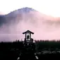 Gunung Argopuro penuh mistis
