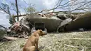 Pada Senin pagi, tornado terkonfirmasi di dekat Pantai Santa Rosa Florida, menurut dinas cuaca. (AP Photo/Rogelio V. Solis)