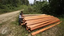 Warga melihat tumpukan kayu tidak bertuan hasil pembalakan liar yang ditemukan di KM 16 akses menuju perkebunan sawit PT Sawit Tiara Nusa kawasan Hutan Produksi Popayato, Kabupaten Pohuwato, Gorontalo, Minggu (11/9). (Liputan6.com/Immanuel Antonius)