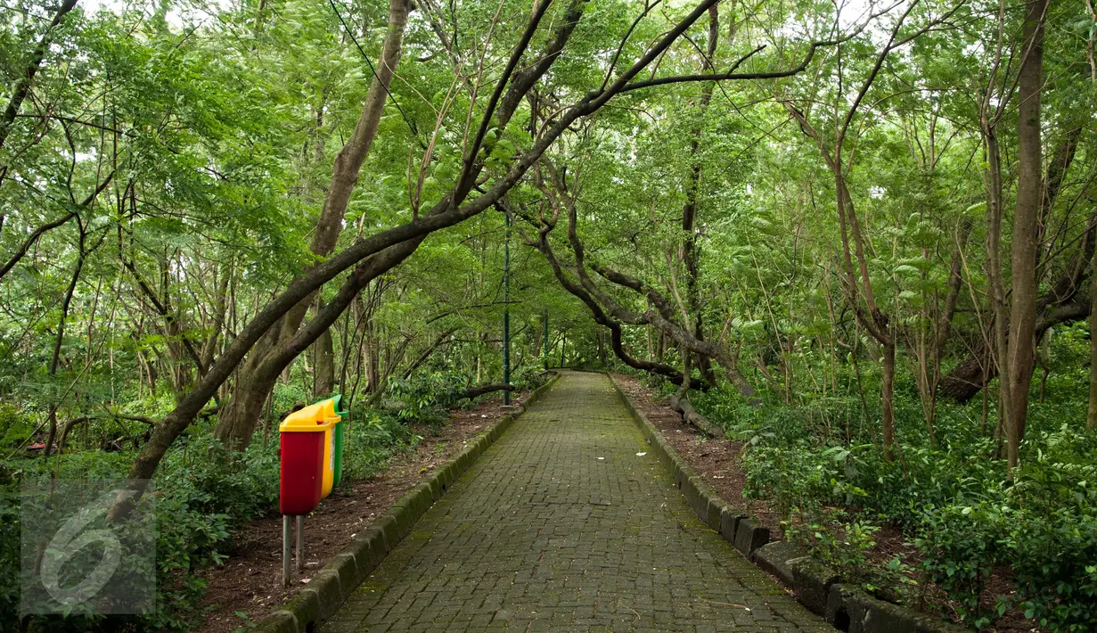 Suasana Hutan Kota Srengseng, Jakarta, (29/3). Kepala Bidang Kehutanan Dishutan DKI Jaja Suharja mengatakan, empat hutan kota yang akan dibangun sarana pendukungnya yakni, Hutan Kota Cipayung, Munjul, Ciracas, dan Cilincing. (Liputan6.com/Gempur M Surya)