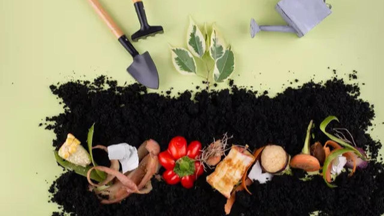 Catat, 7 Jenis Sampah Rumah Tangga yang Bisa Mengundang Ular Datang