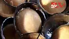 liputan6