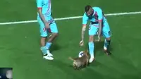 Pemain Arsenal dengan nomor punggung 15, German Ferreyra, mencoba menangkap anjing yang muncul di pertandingan bola, Liga Argentina, di Estadio Pedro Bidegain, Argentina (Capture/TyC Sports)