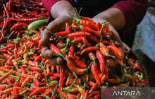Harga Pangan Nasional Terkini: Cabai Rawit Tembus Rp65 Ribu, Telur Ayam Rp31 Ribu per Kg