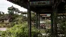 Tumbuhan liar di sekitar Istana kepresidenan Kongo yang terbengkalai di Nsele, Kinshasa, Kongo, Senin (15/5). Istana ini pernah ditempati Mobutu yang berkuasa di Kongo selama lebih dari 31 tahun. (AFP PHOTO/JOHN WESSELS)