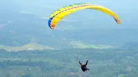 Festival Paralayang Taeh Bukik, Pesona Limapuluh Kota dari Ketinggian