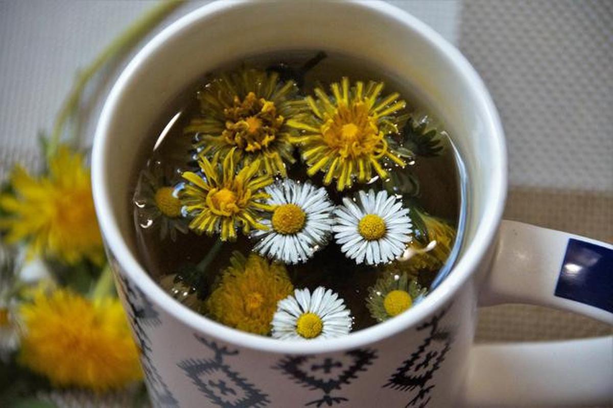 8 Minuman Pembersih Ginjal Alami, Rahasia Detoksifikasi Tubuh