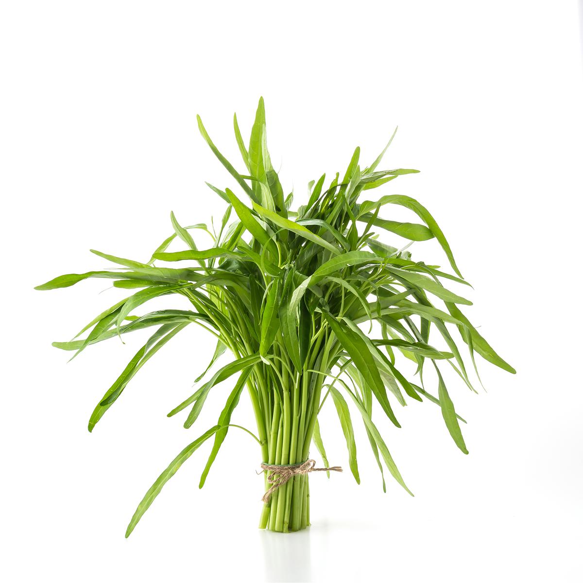 Ilustrasi Kangkung