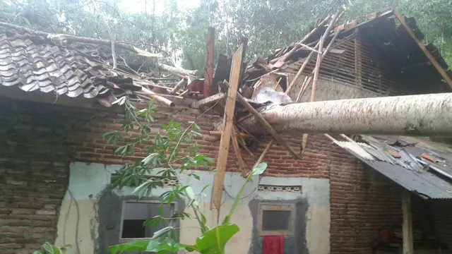 Rumah rusak tertimpa pohon tumbang. (Foto: Liputan6.com/BPBD Cilacap/Muhamad Ridlo)