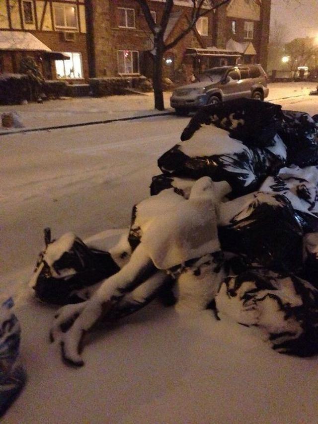 ilusi optik (foto: boredpanda)