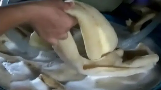Memisahkan Kikil Kaki Sapi dari Tulang