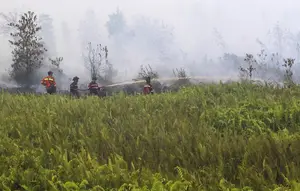 Gelar Ritual Adat, Warga Dayak Diminta Waspada Ancama Kebakaran Hutan