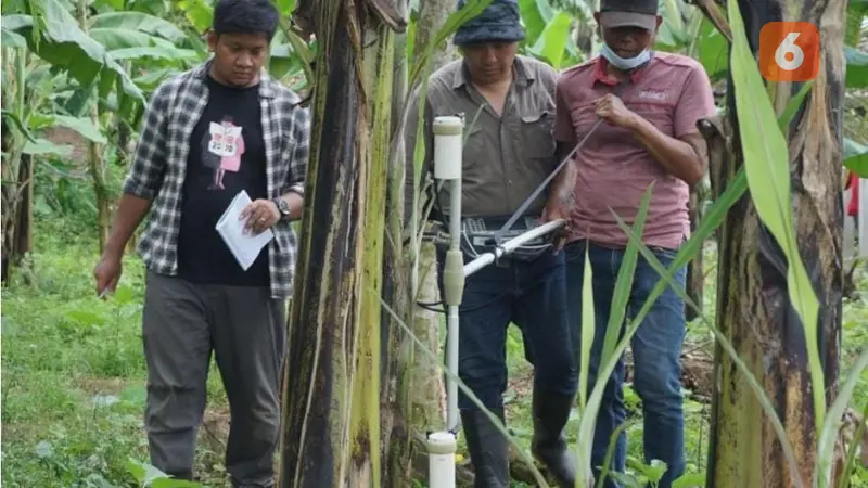 Lokasi penemuan arca Dwarapala dan Jaladwara di Tulungagung (Liputan6.com/Istimewa)